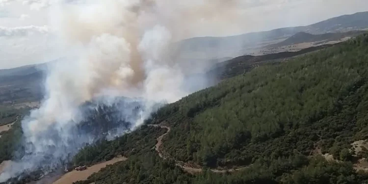 Çanakkale Gelibolu’da da yangın çıktı