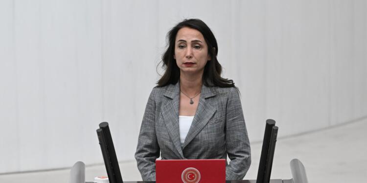Hatimoğulları Meclis’te konuştu: Cûdî yandı burada tek kelime dahi konuşulmadı