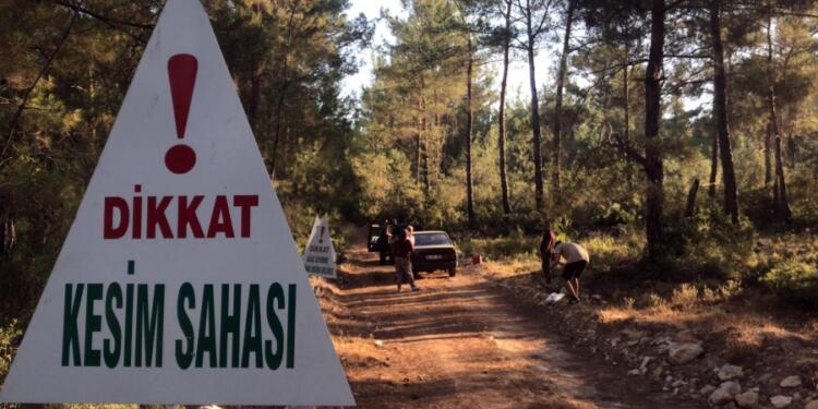 Valilik ‘Çalışmalar sona erdi’ demişti: Akbelen’e iş makinaları getirildi