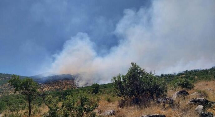 Licê’de devam eden yangına acil müdahale çağrısı