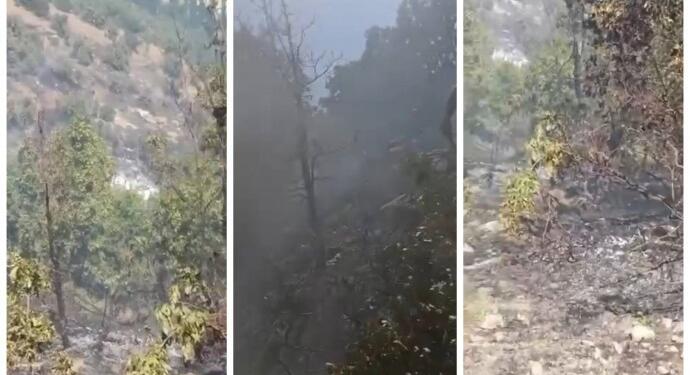 Roboskî’de 10 dönümlük ormanlık alan küle döndü