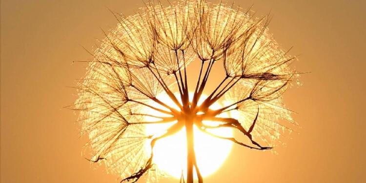 Sıcak hava uyarısı: Mevsim normalinin 6-10 derece üzerinde olacak