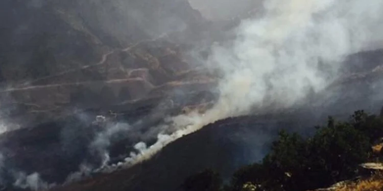 Çanakkale Koyunyeri ve Cûdî Dağı yangınları için açıklama
