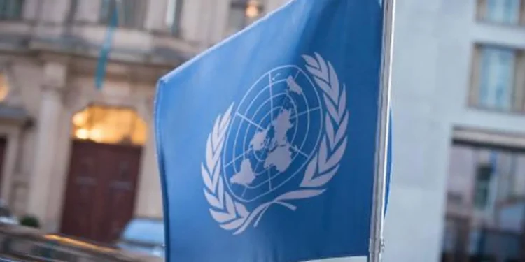 UNDP, Limak Vakfı ile ortaklığını sonlandırdığını açıkladı