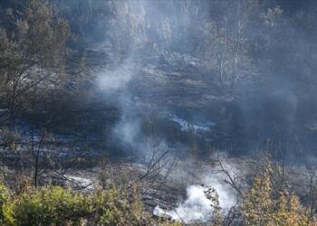 Washington eyalatinde orman yangınları: 2 kişi ölü