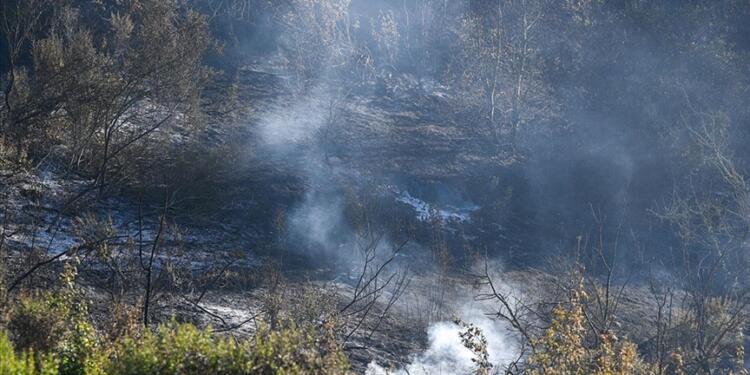 Washington eyalatinde orman yangınları: 2 kişi ölü