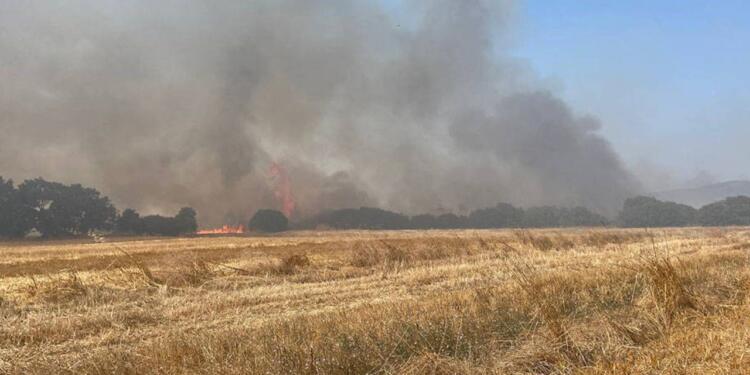 Çanakkale Biga’da yangın çıktı