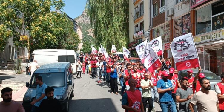 FEDAŞ işçisi Dersim halkıyla buluştu: Dayanışmaya davet ediyoruz