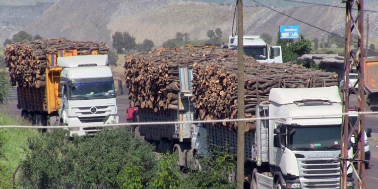 Fütursuz yağmanın ilk durağı: Kürt coğrafyası