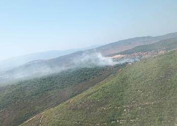 İzmir Foça’da orman yangını