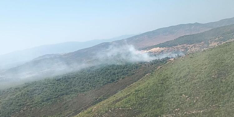 İzmir Foça’da orman yangını