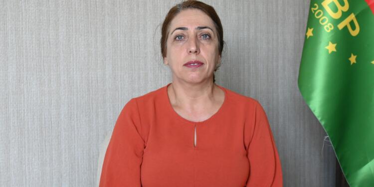 DBP Eş Genel Başkanı Aydeniz: Gündemimiz tecrit