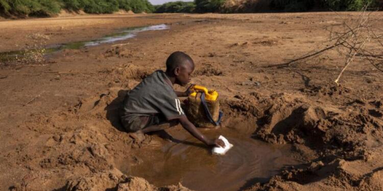 Nijerya’da bu yıl kolera salgınından 94 kişi yaşamını yitirdi