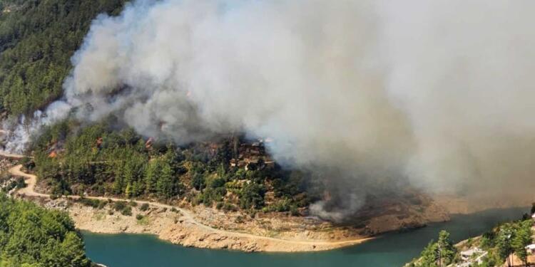 Alanya’da orman yangını