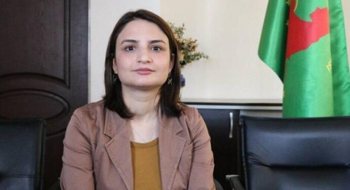 DBP Amed İl Eşbaşkanı Gülmez hakkında açılan dava ertelendi