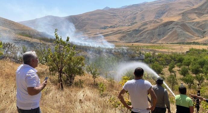 Anız yangını meyve ağaçlarını yaktı