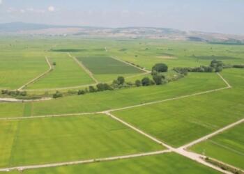 İzmir’de binlerce metrekarelik arsalar satışa çıkarıldı