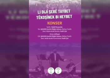 Gençler ‘özel savaş politikalarına karşı’ konserde buluşacak