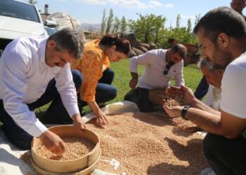 Wan’ın komünal kooperatifi ilk mahsulünü aldı