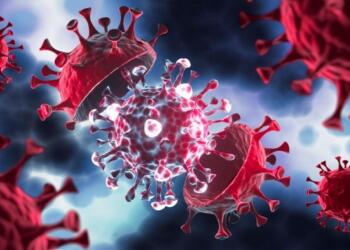 Koca’dan ‘Eris’ varyantı açıklaması : Vakalar arttı