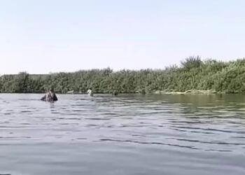 Meriç Nehri’ni geçmek isteyen gruba ateş açıldı