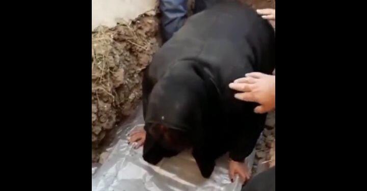 Jîna Emînî’nin cenazesinin defnedildiği son görüntüler yayınlandı