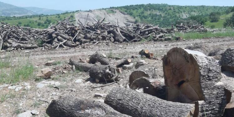 Uysal: Çözüm demokratik toplumun ekolojik sisteminde