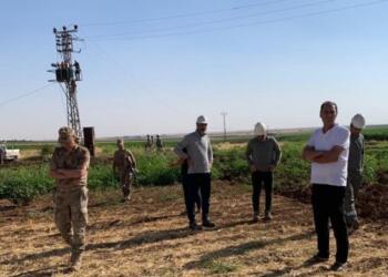 DEDAŞ, mısırın olgunlaşma sürecinde trafolara el koydu