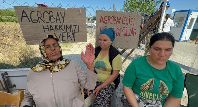 Agrobay Seracılık işçilerine yine asker saldırısı