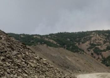 Çewlîg’de Akdağ mevkiindeki ormanlık alanda yangın