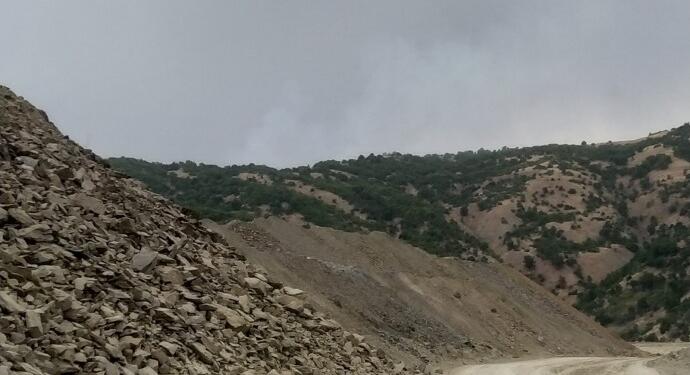 Çewlîg’de Akdağ mevkiindeki ormanlık alanda yangın