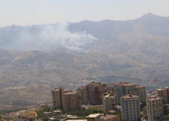 Cûdî Dağı’nda çıkan yangın kendiliğinden söndü