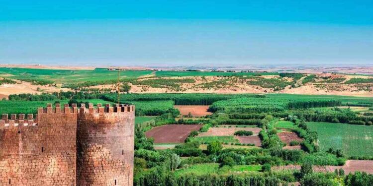 Amed Surları ve Hevsel Bahçeleri ‘Tehlike Altındaki Dünya Mirası Listesi’ne alınmadı