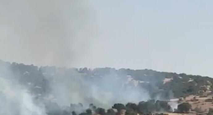 Licê’deki yangın köylülerin yardımıyla söndürüldü