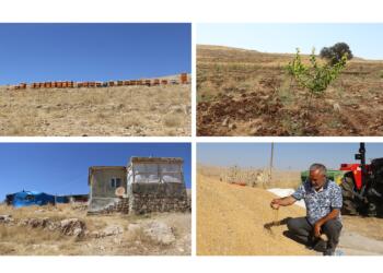 Yıllar sonra yeniden inşa için köylerine geri döndüler