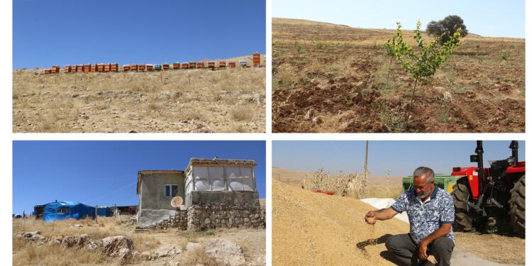 Yıllar sonra yeniden inşa için köylerine geri döndüler