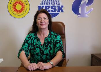 Kurul: Anadil açık bir yara