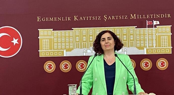 Yeşil Sol Parti’li Çelenk: ‘Kanun Hükmü’ belgeseli kararından derhal dönün