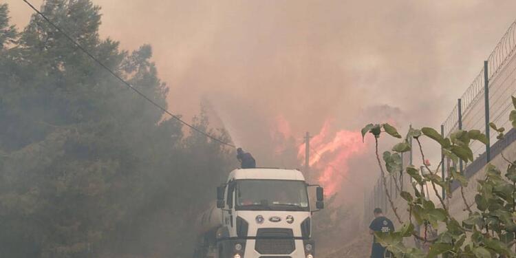 Bursa’da orman yangını