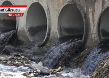 ‘Türkiye’nin sıfır atık yolculuğu’ da ne?