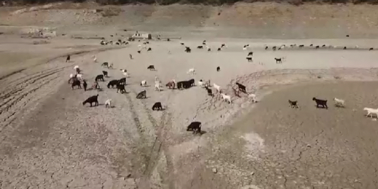 Bursa’da baraj kurudu