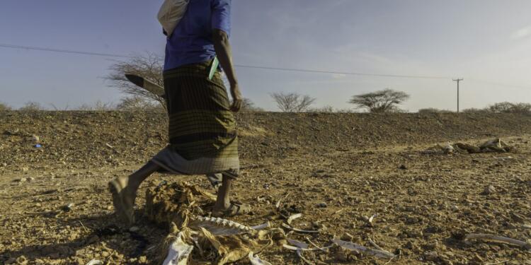 Dünyada susuzluk kapıda, şirketler ise su zengini
