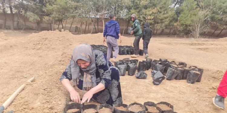 Saldırılar altındaki Rojava’da 4 milyon fidan!