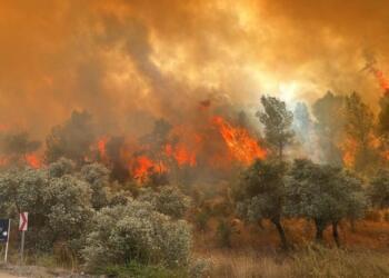 Ege 10 yıl sonra susuz mu kalacak?