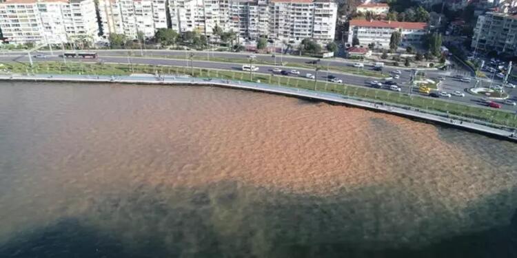 İzmir Körfezi kıpkırmızı