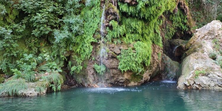 Zorê Çayı’na HES doğa katliamı demek