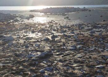 BİTLİS’İN TATVAN İLÇESİ SINIRLARINDA BULUNAN NEMRUT KRATER GÖLÜ’NDE, İLKLİM DEĞİŞİKLİĞİ NEDENİYLE SU SEVİYESİNDE ÇEKİLME YAŞANDI. (ORHAN EMEN/BİTLİS-İHA)