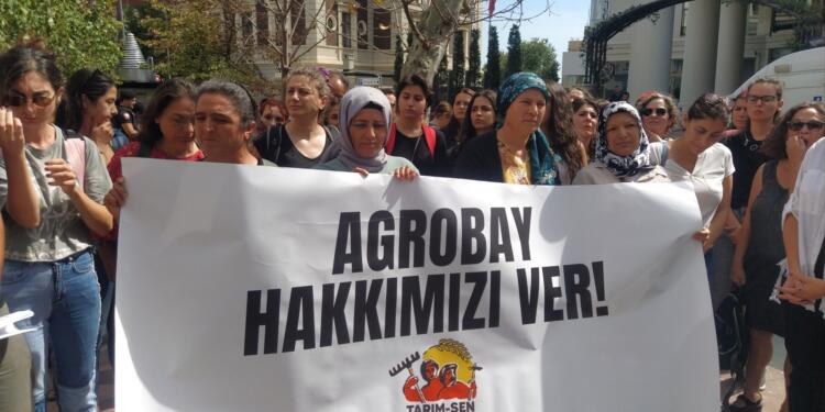 Agrobay işçisi kadınlardan mektup: Sesimizi çoğaltmamıza yardım edin