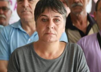 HEDEP PM Üyesi Hülya Ateş’e gözaltı