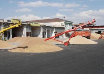 Batman kayyumu Buğday Pazarı’nda rant gördü